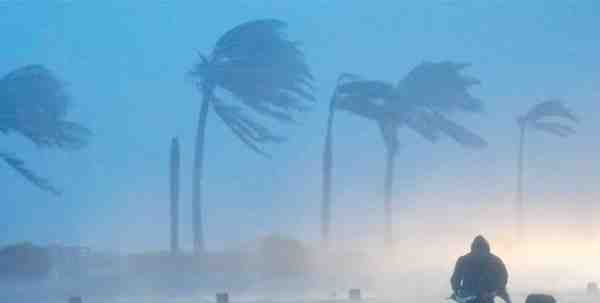 Earthquake & Typhoon Pavilion